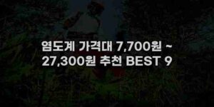 알리파파의 가성비 알리 제품 추천 33645 57