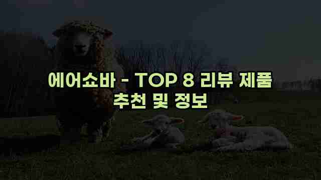 에어쇼바 - TOP 8 리뷰 제품 추천 및 정보