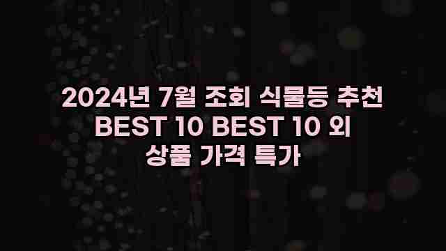 2024년 7월 조회 식물등 추천 BEST 10 BEST 10 외 상품 가격 특가