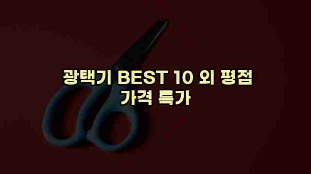  광택기 BEST 10 외 평점 가격 특가