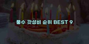 알리파파의 가성비 알리 제품 추천 48383 13