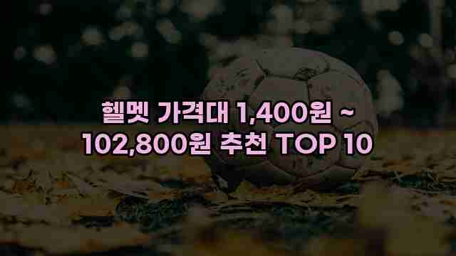 헬멧 가격대 1,400원 ~ 102,800원 추천 TOP 10