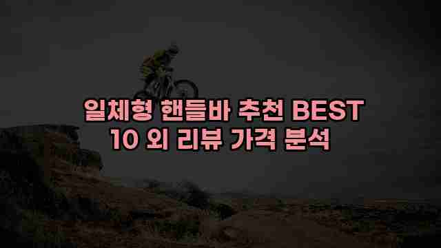  일체형 핸들바 추천 BEST 10 외 리뷰 가격 분석