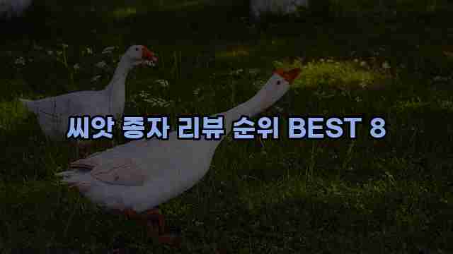 씨앗 종자 리뷰 순위 BEST 8