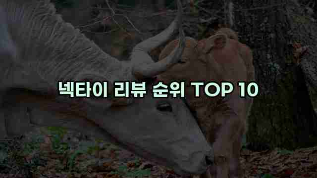 넥타이 리뷰 순위 TOP 10