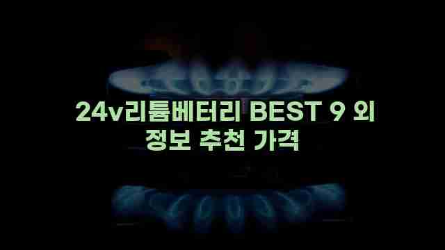  24v리튬베터리 BEST 9 외 정보 추천 가격