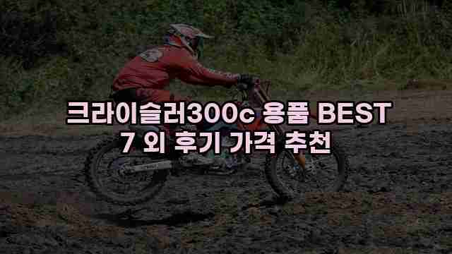  크라이슬러300c 용품 BEST 7 외 후기 가격 추천