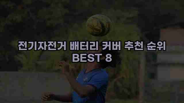 전기자전거 배터리 커버 추천 순위 BEST 8