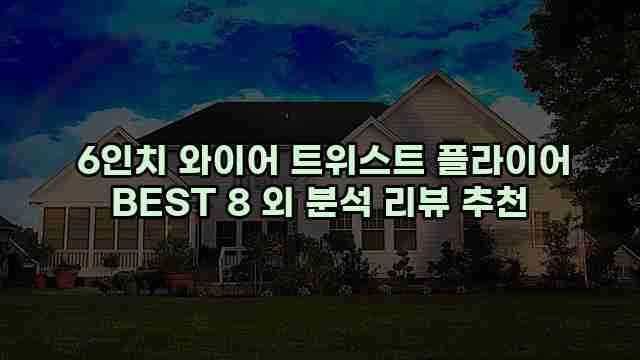  6인치 와이어 트위스트 플라이어 BEST 8 외 분석 리뷰 추천