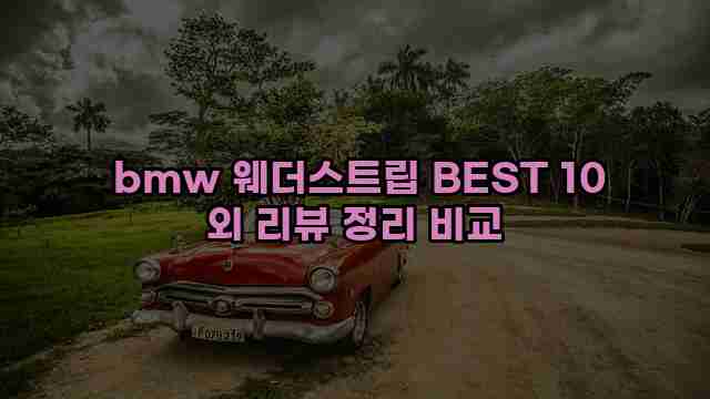  bmw 웨더스트립 BEST 10 외 리뷰 정리 비교