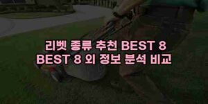알리파파의 가성비 알리 제품 추천 52408 17