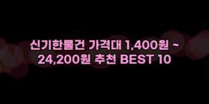 알리파파의 가성비 알리 제품 추천 42041 83