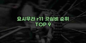 알리파파의 가성비 알리 제품 추천 39095 41