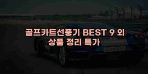 알리파파의 가성비 알리 제품 추천 52955 15