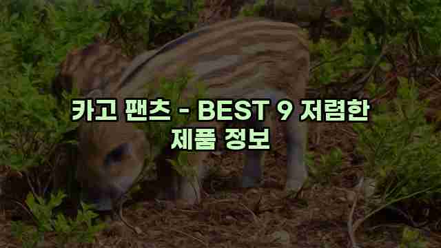 카고 팬츠 - BEST 9 저렴한 제품 정보