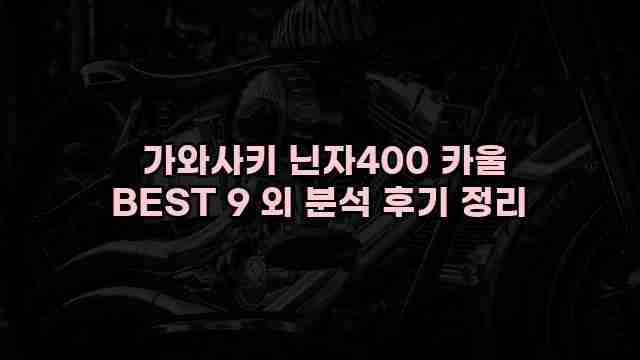  가와사키 닌자400 카울 BEST 9 외 분석 후기 정리