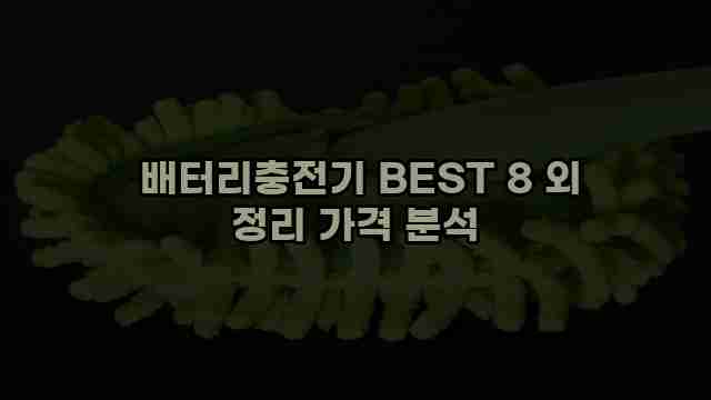  배터리충전기 BEST 8 외 정리 가격 분석