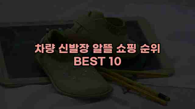 차량 신발장 알뜰 쇼핑 순위 BEST 10