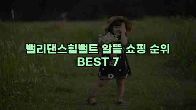 밸리댄스힙밸트 알뜰 쇼핑 순위 BEST 7