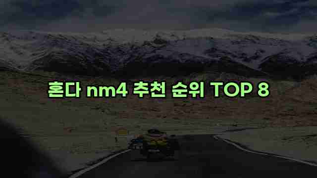 혼다 nm4 추천 순위 TOP 8 1 1 혼다 nm4 추천 순위 TOP 8
