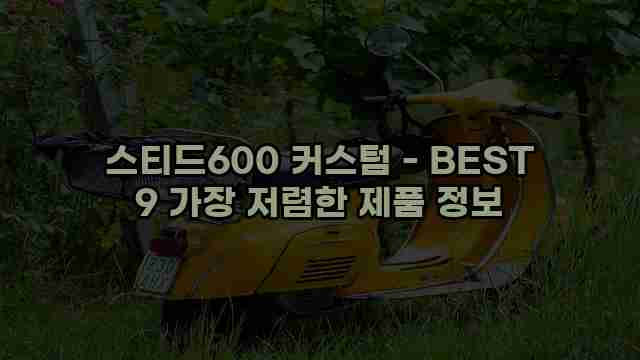 스티드600 커스텀 - BEST 9 가장 저렴한 제품 정보