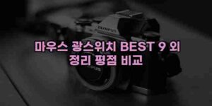 알리파파의 가성비 알리 제품 추천 41127 130