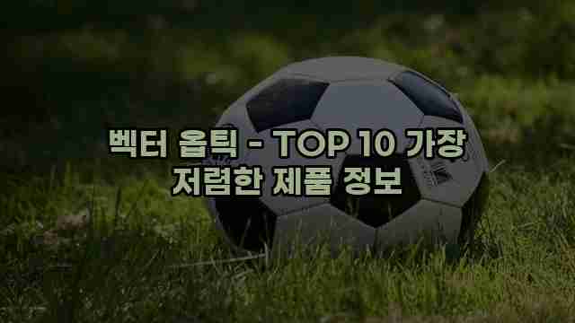 벡터 옵틱 - TOP 10 가장 저렴한 제품 정보