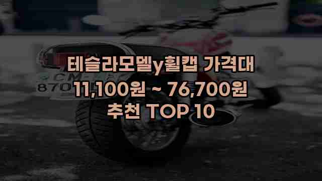 테슬라모델y휠캡 가격대 11,100원 ~ 76,700원 추천 TOP 10