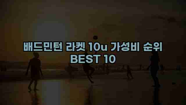 배드민턴 라켓 10u 가성비 순위 BEST 10