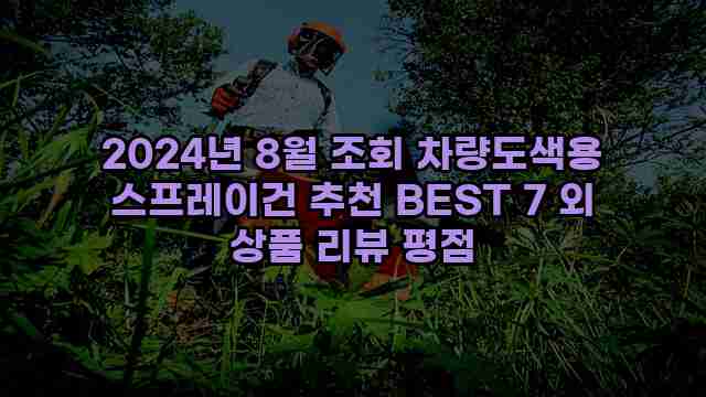 2024년 8월 조회 차량도색용 스프레이건 추천 BEST 7 외 상품 리뷰 평점