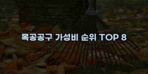 알리파파의 가성비 알리 제품 추천 53251 12