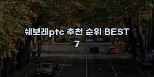 알리파파의 가성비 알리 제품 추천 41054 1