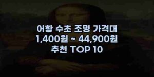 알리파파의 가성비 알리 제품 추천 44060 15