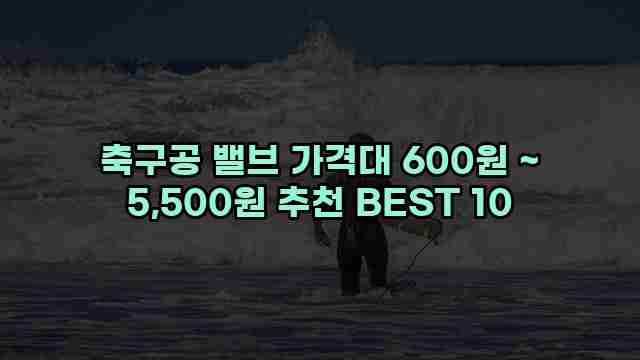 축구공 밸브 가격대 600원 ~ 5,500원 추천 BEST 10