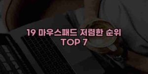 알리파파의 가성비 알리 제품 추천 41352 125