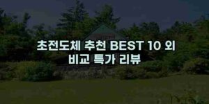 알리파파의 가성비 알리 제품 추천 43916 13