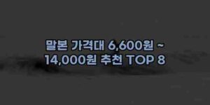 알리파파의 가성비 알리 제품 추천 47805 12