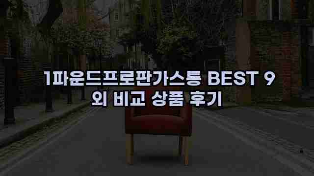  1파운드프로판가스통 BEST 9 외 비교 상품 후기