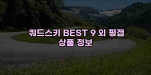 알리파파의 가성비 알리 제품 추천 42483 96