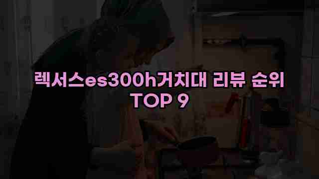 렉서스es300h거치대 리뷰 순위 TOP 9