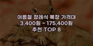 알리파파의 가성비 알리 제품 추천 42071 38