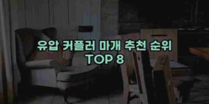 알리파파의 가성비 알리 제품 추천 41830 80