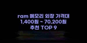 알리파파의 가성비 알리 제품 추천 41749 92