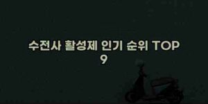 알리파파의 가성비 알리 제품 추천 42483 81