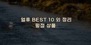 알리파파의 가성비 알리 제품 추천 41865 16