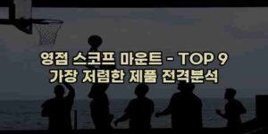 알리파파의 가성비 알리 제품 추천 44356 14