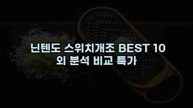  닌텐도 스위치개조 BEST 10 외 분석 비교 특가