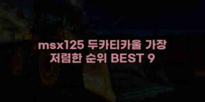알리파파의 가성비 알리 제품 추천 42483 27