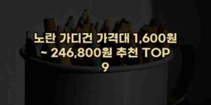 알리파파의 가성비 알리 제품 추천 43974 127
