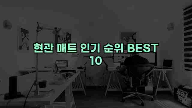 현관 매트 인기 순위 BEST 10